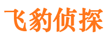 鲁山捉小三公司